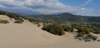 sand dunes